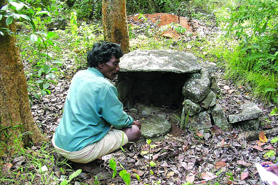 India's sacred groves Science, tradition join to protect biodiversity